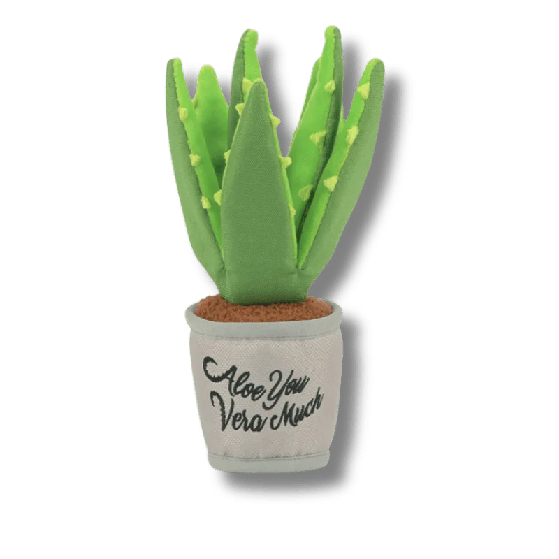 PLAY - Blooming Buddies - Aloe-ve You Plant