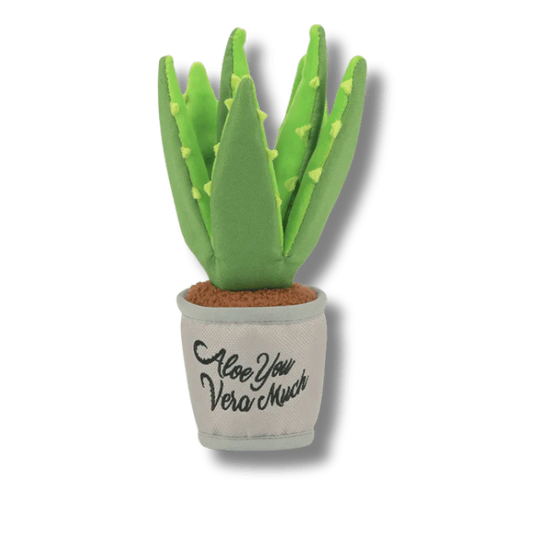PLAY - Blooming Buddies - Aloe-ve You Plant
