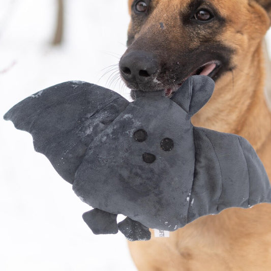 Bat Toy