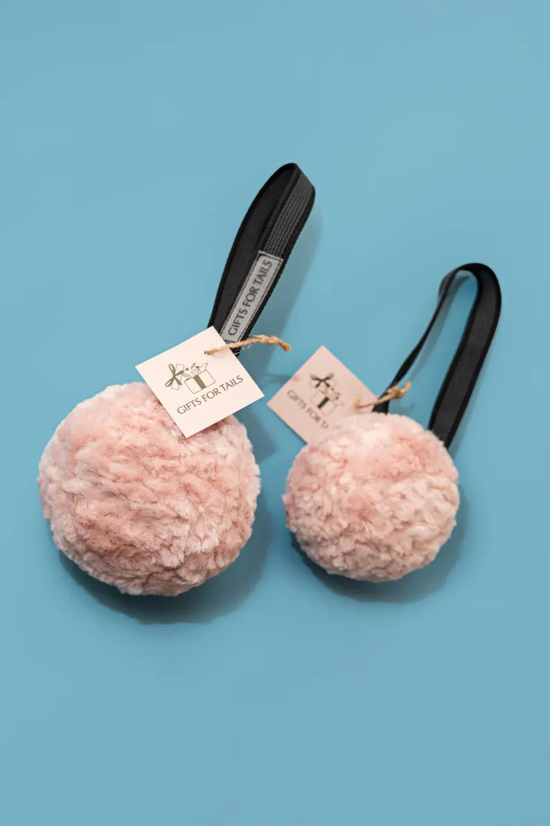 Fluffy Dog Ball Toy